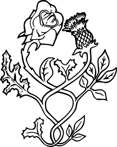 Thistle Flower Coloring Page